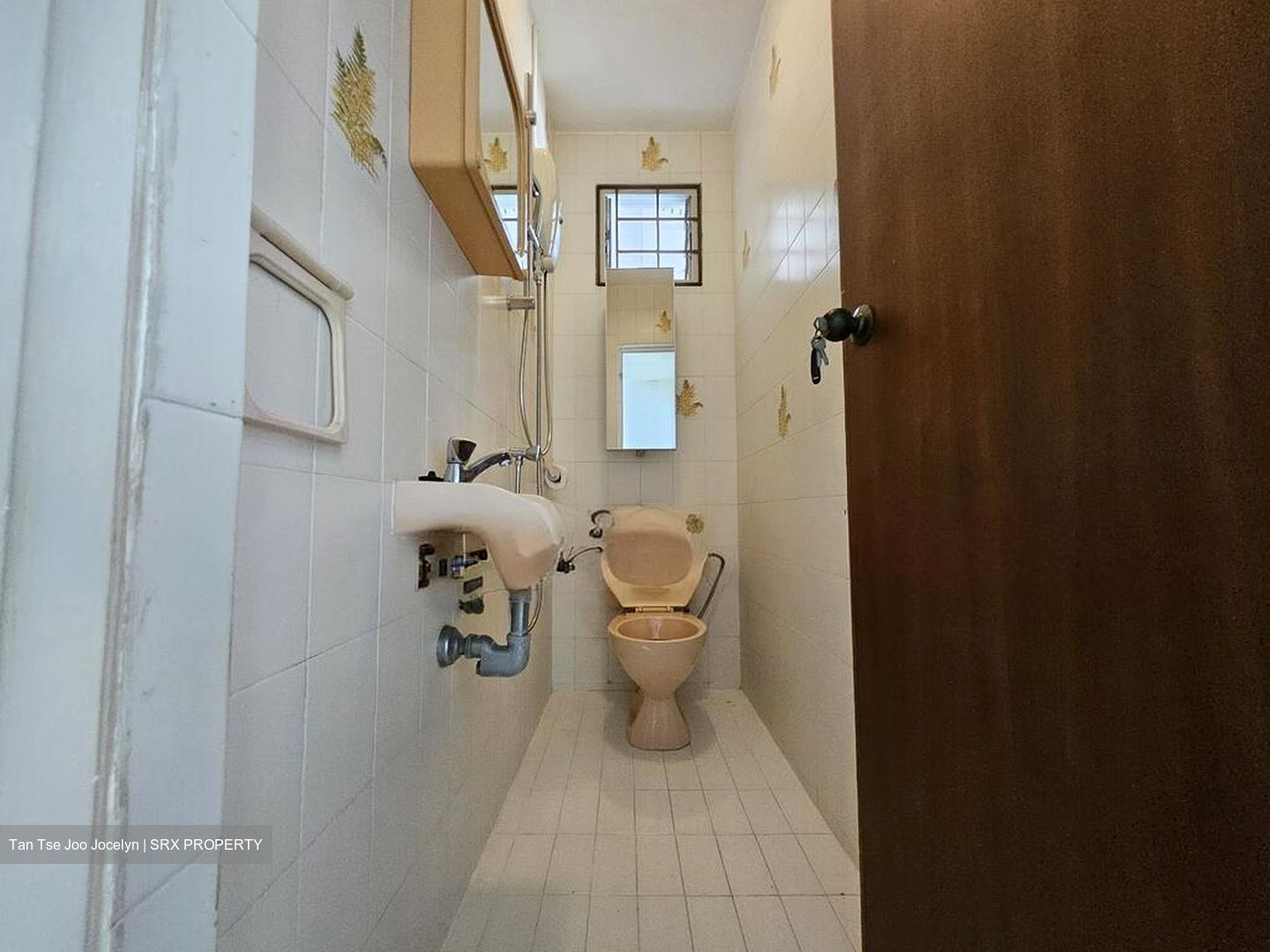 Jurong Park (D21), Detached #526283511
